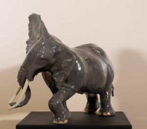 Nicolas BETOUX- L'éléphant