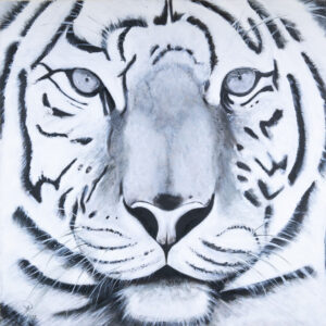 Patricia PIERRON - Tiger